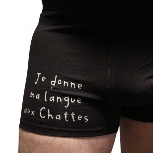 boxer langue chatte